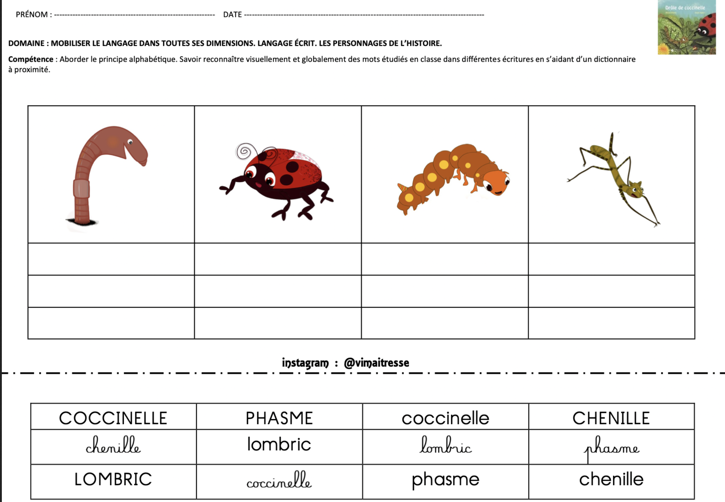 Fiches d’activités Drôle de coccinelle