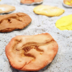Fossiles de Dinosaures