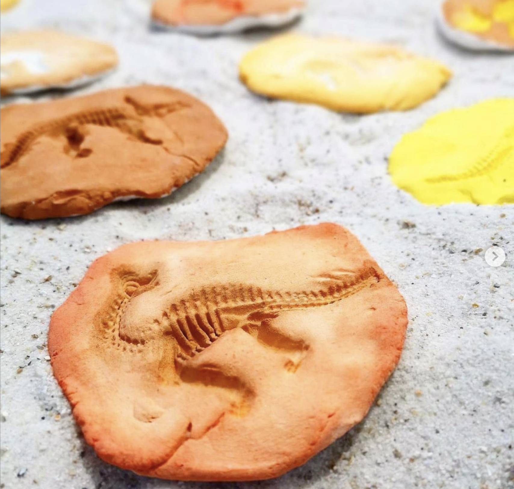 Fossiles de Dinosaures