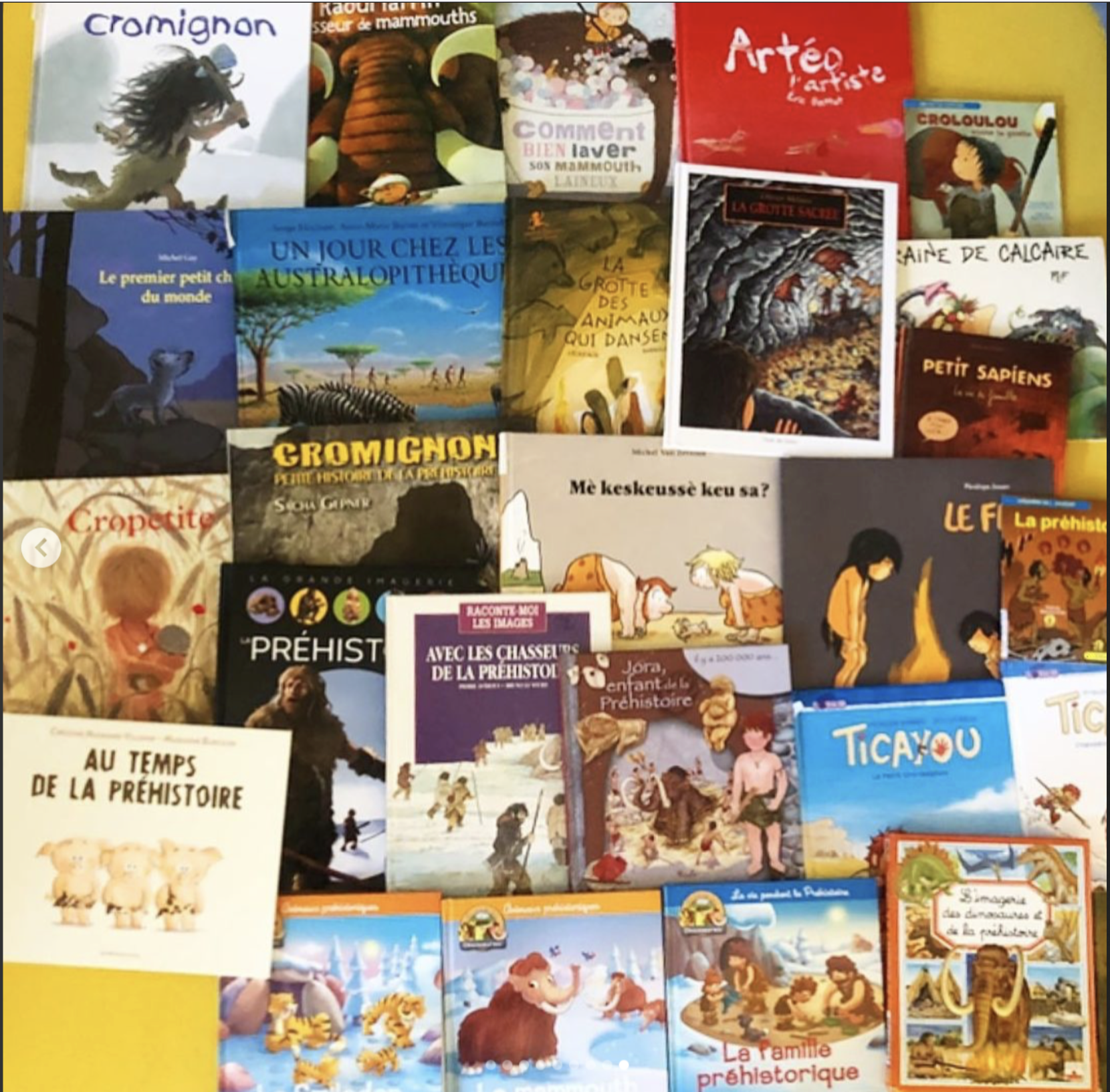 Sélection de livres sur la préhistoire