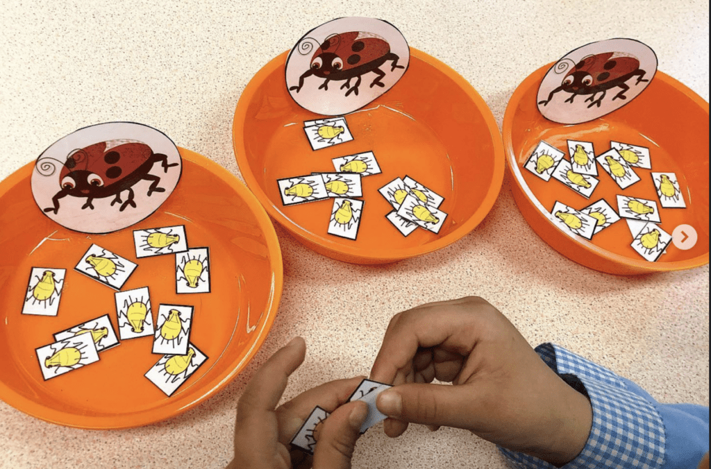 Partage équitable : Drôle de coccinelle