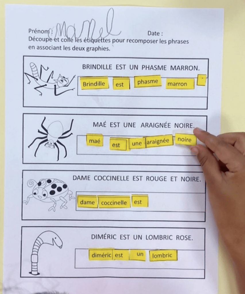 Recomposer les phrases : drôle de coccinelle