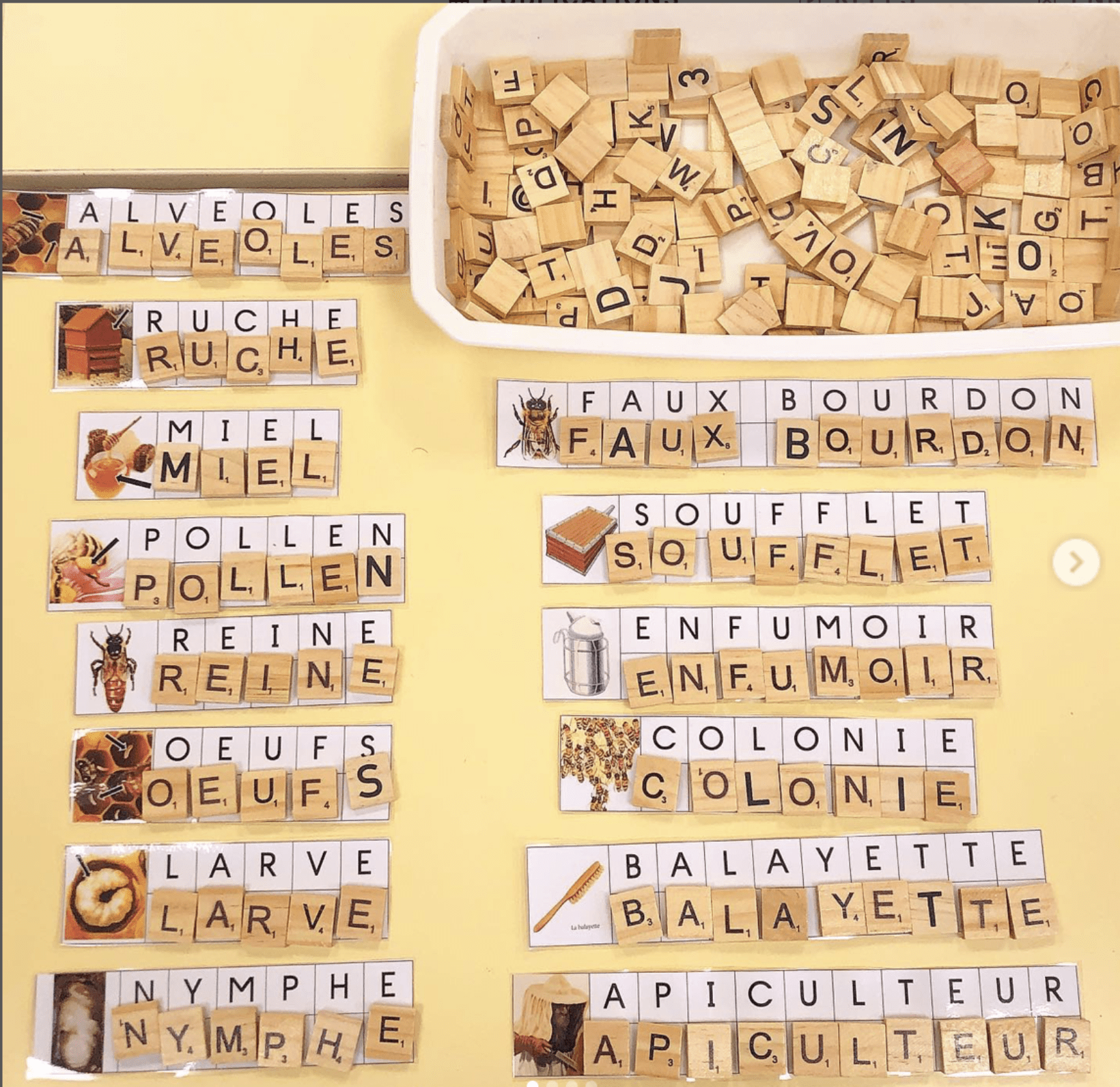 Lettres mobiles : les abeilles