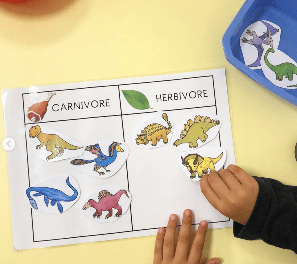 Dinosaures : tri carnivore / herbivore