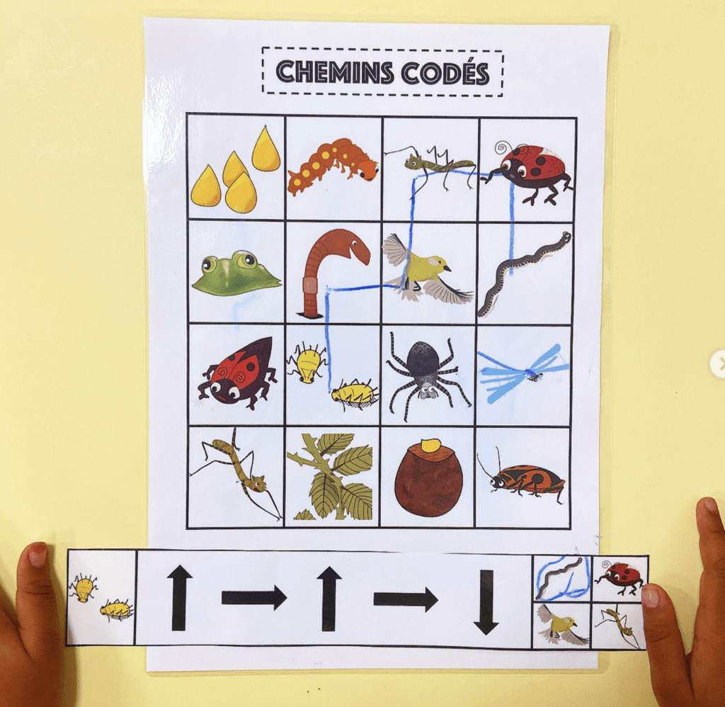 Chemins fléchés : codage et décodage Drôle de coccinelle