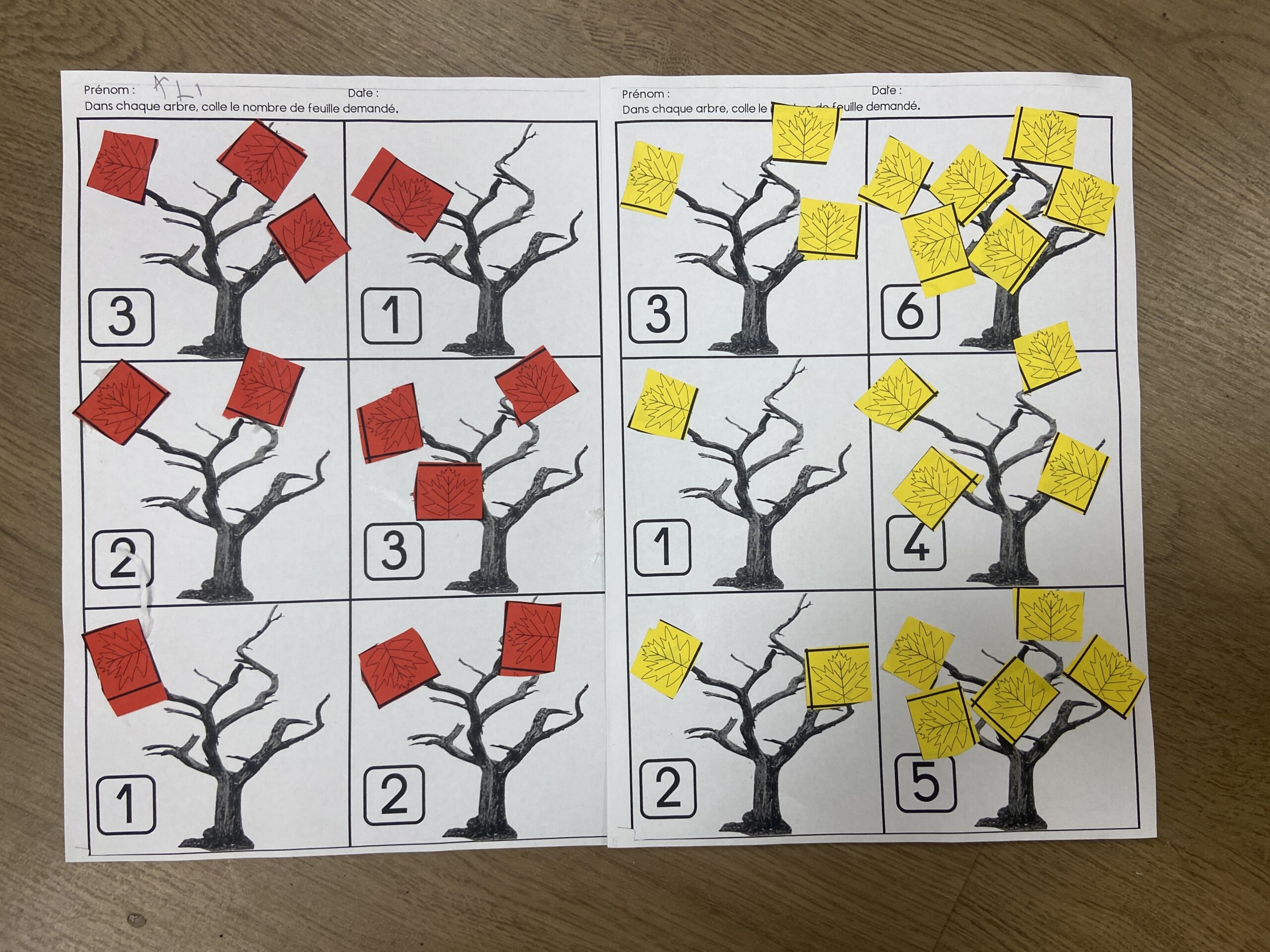 Le bon nombre de feuilles